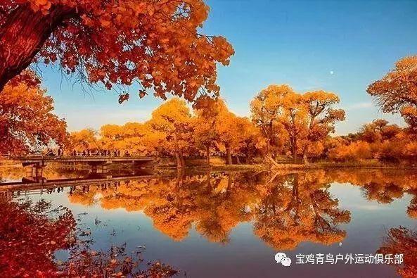 陕西眉县：野生羚牛频现红河谷森林公园
