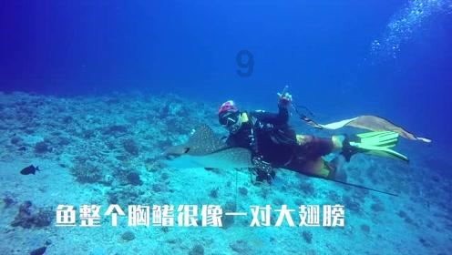模拟农场17